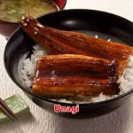 Unagi