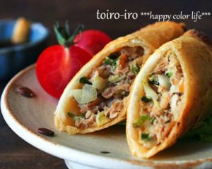Great for Lunchboxes! Gyoza Spring Rolls
