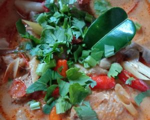 Tom Yum with Chicken 🐤, Shrimp 🍤, and Oyster Mushrooms 🍄